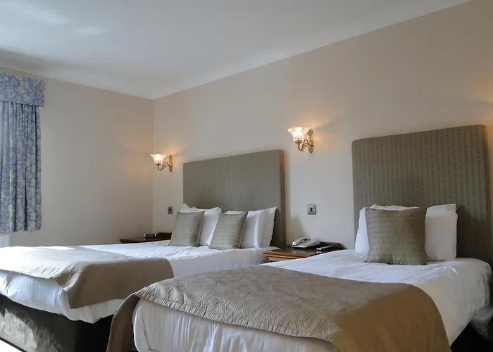 酒店 大教堂酒店 3*